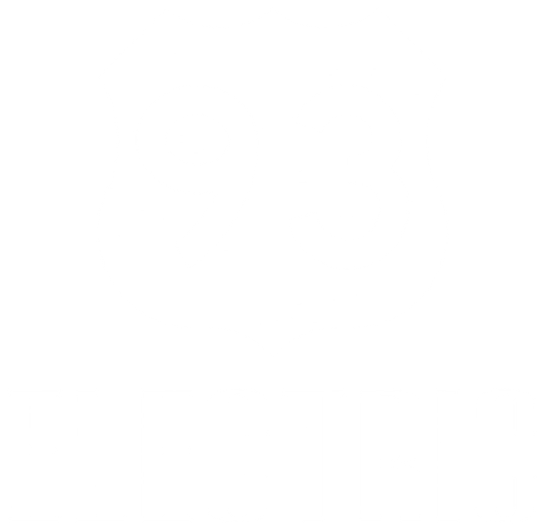 93 Electric